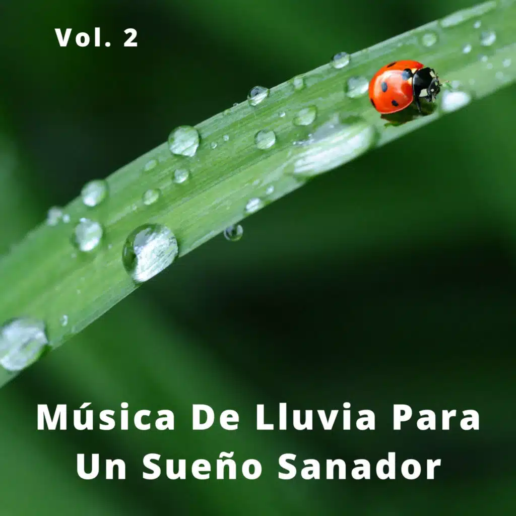 Música De Lluvia Para Un Sueño Sanador Vol. 2