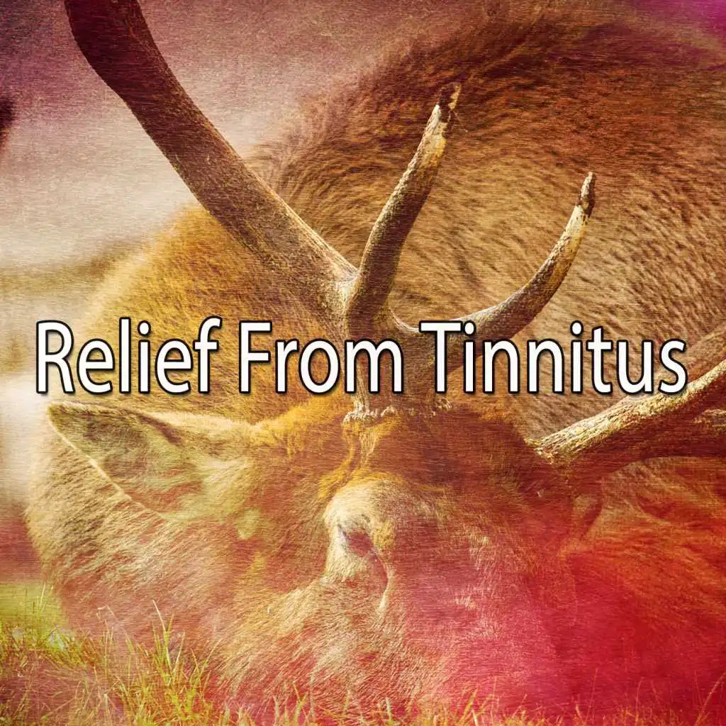 Relief from Tinnitus