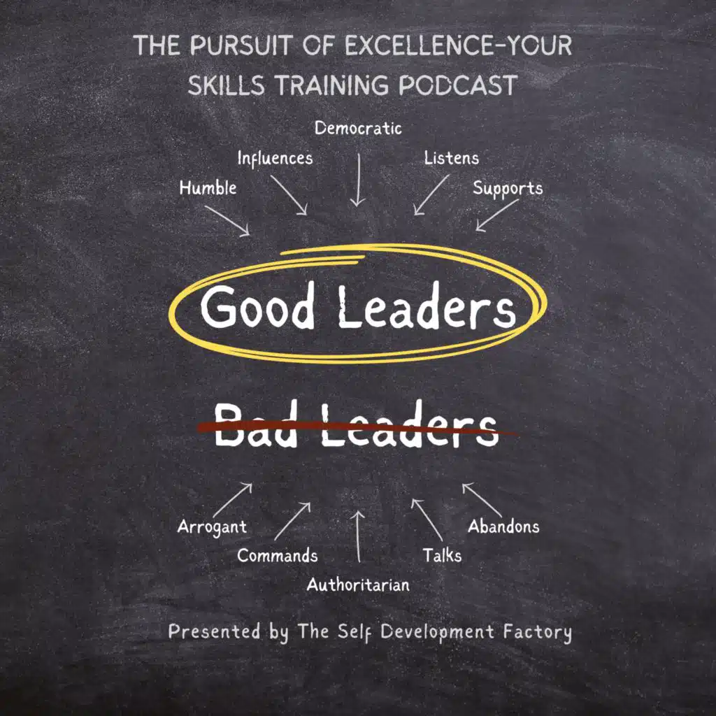 The Pursuit of Excellence-Your Skills Training Podcast