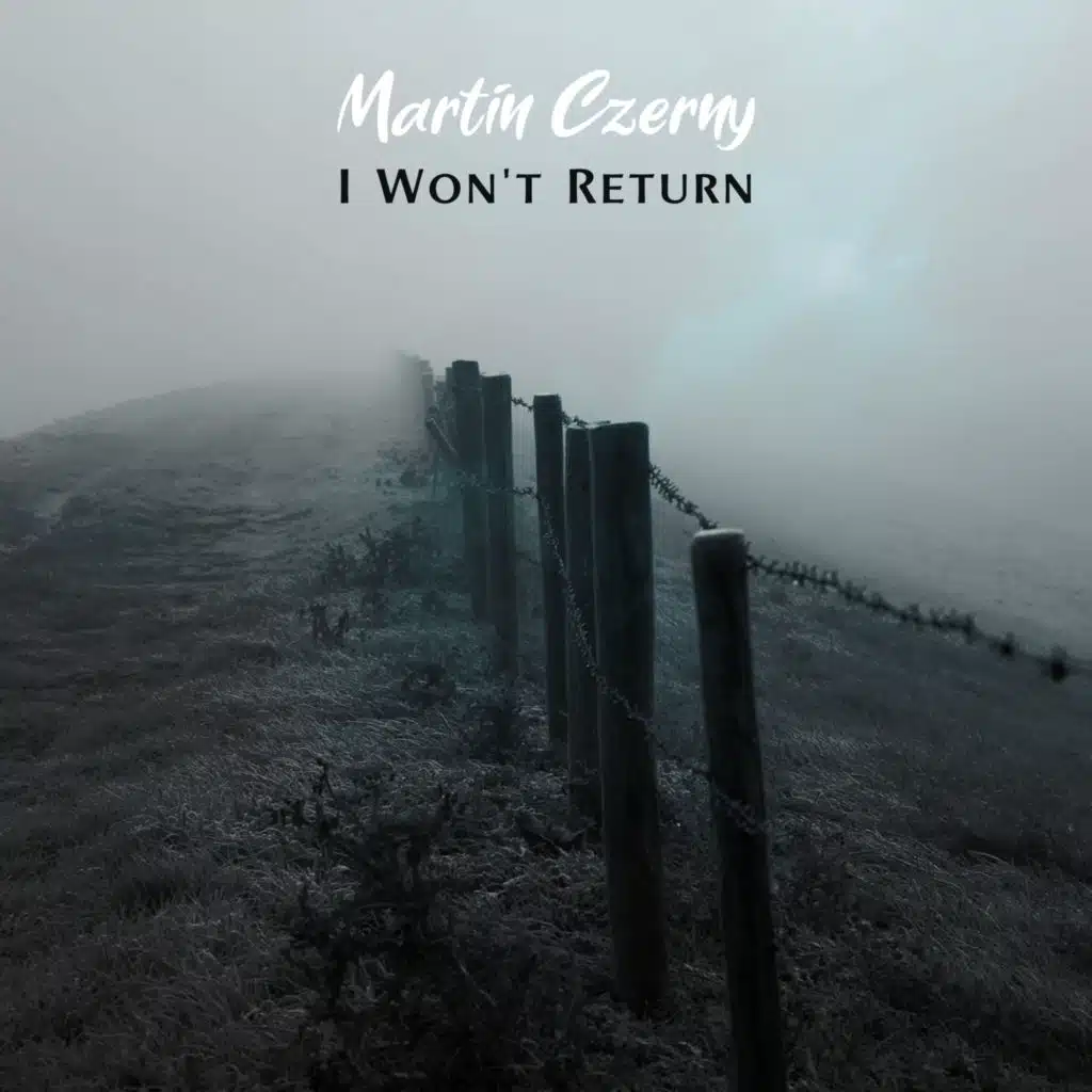 I Won't Return