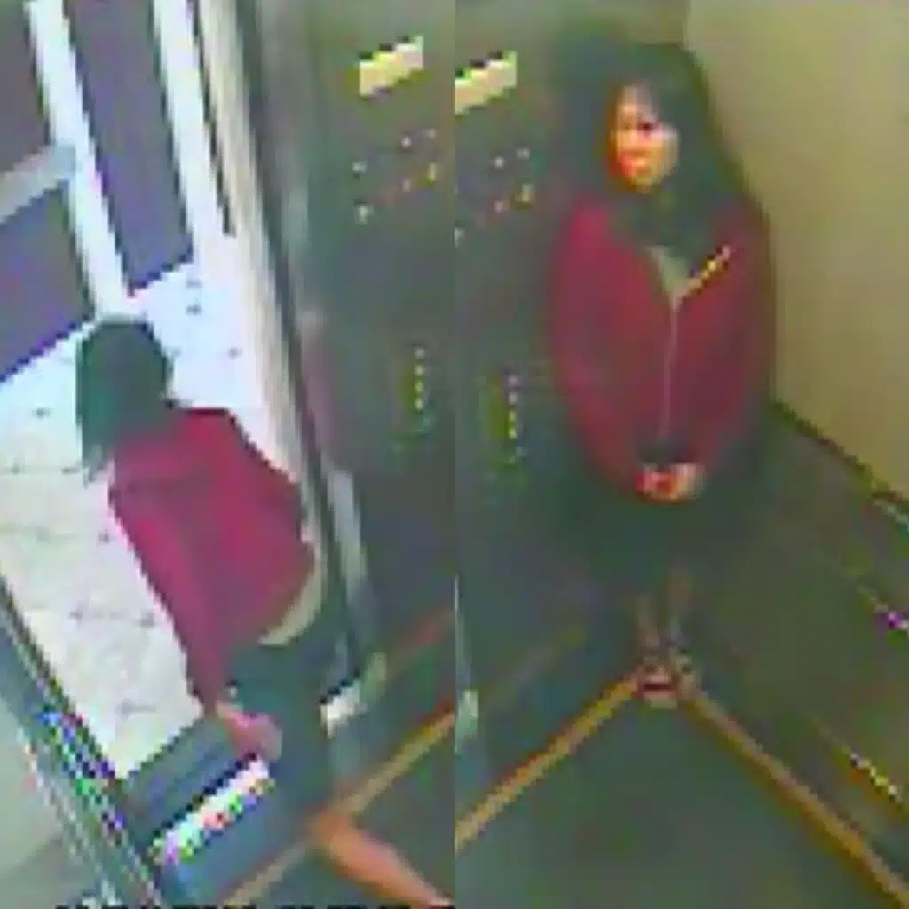 The Mysterious Death of Elisa Lam