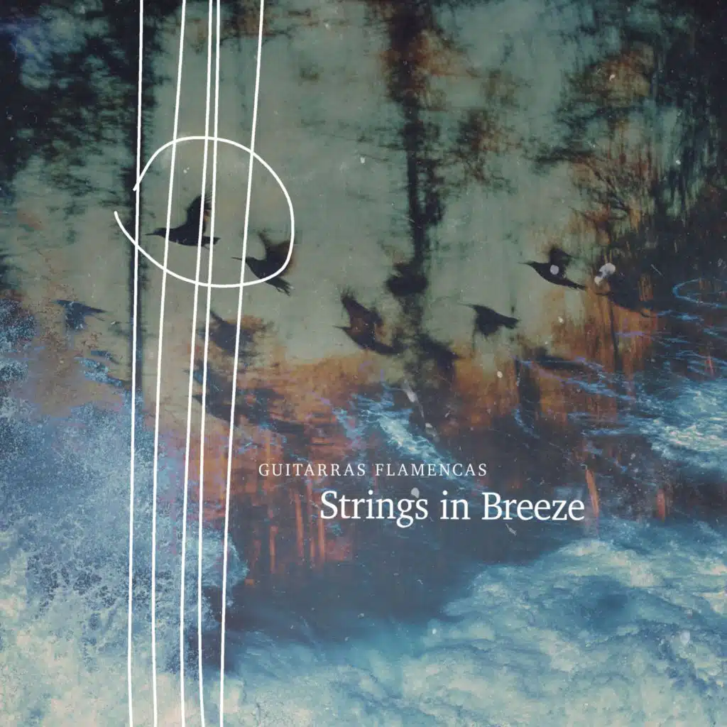 Strings in Breeze