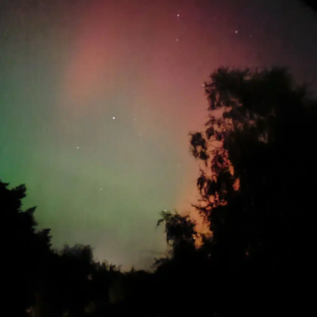 Borealis