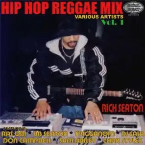 Hip Hop Reggae Mix, Vol. 1