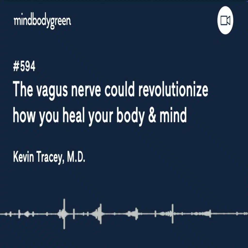 594: The vagus nerve could revolutionize how you heal your body & mind | Kevin Tracey, M.D.
