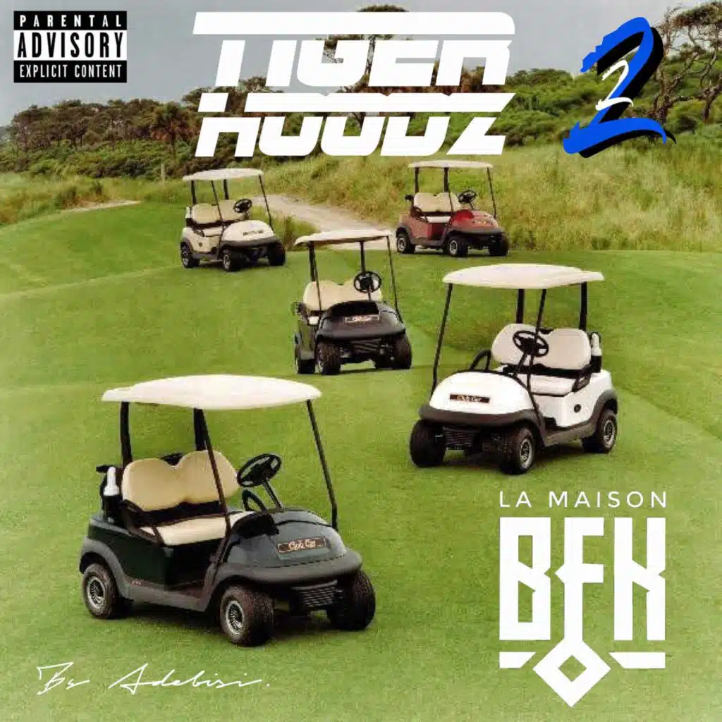 TIGER HOODZ 2