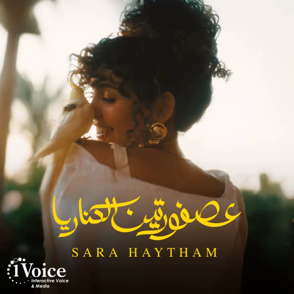 عصفورتين الكناريا