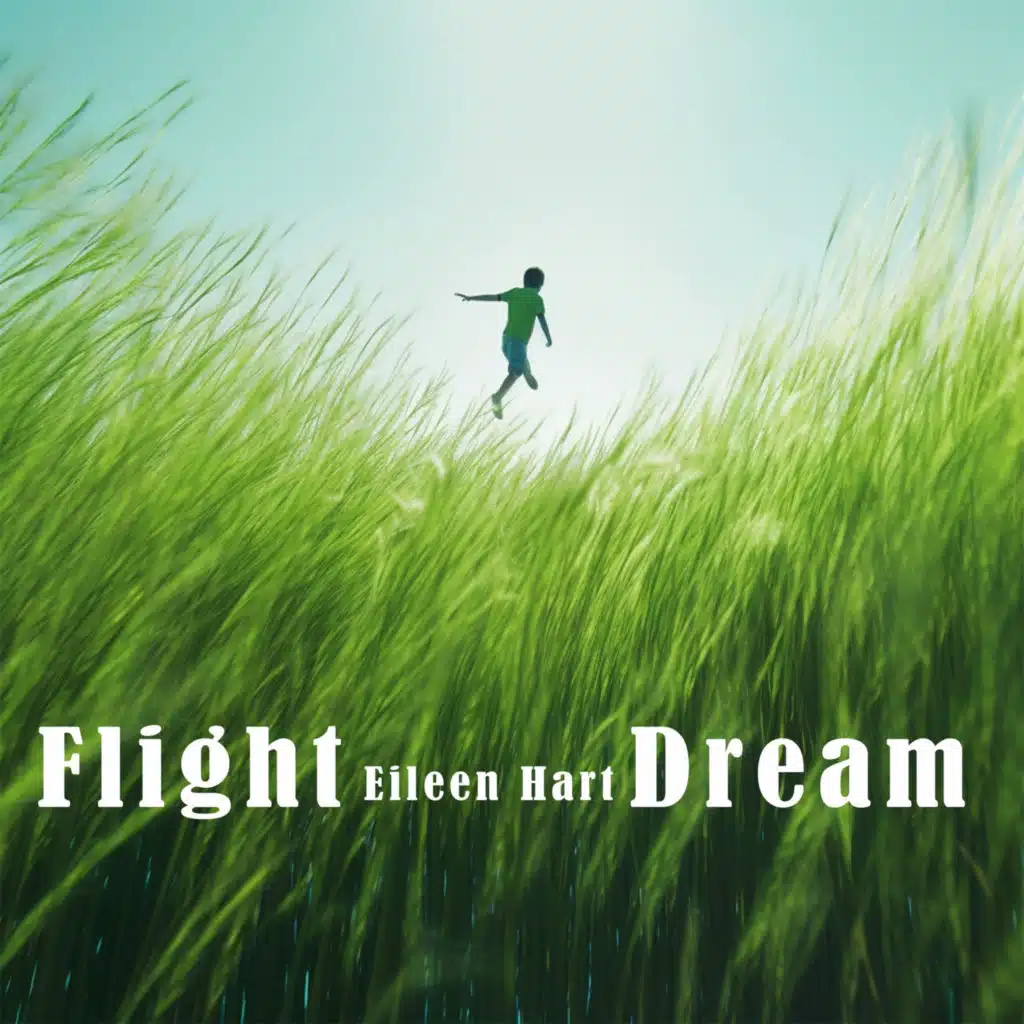 Flight Dream