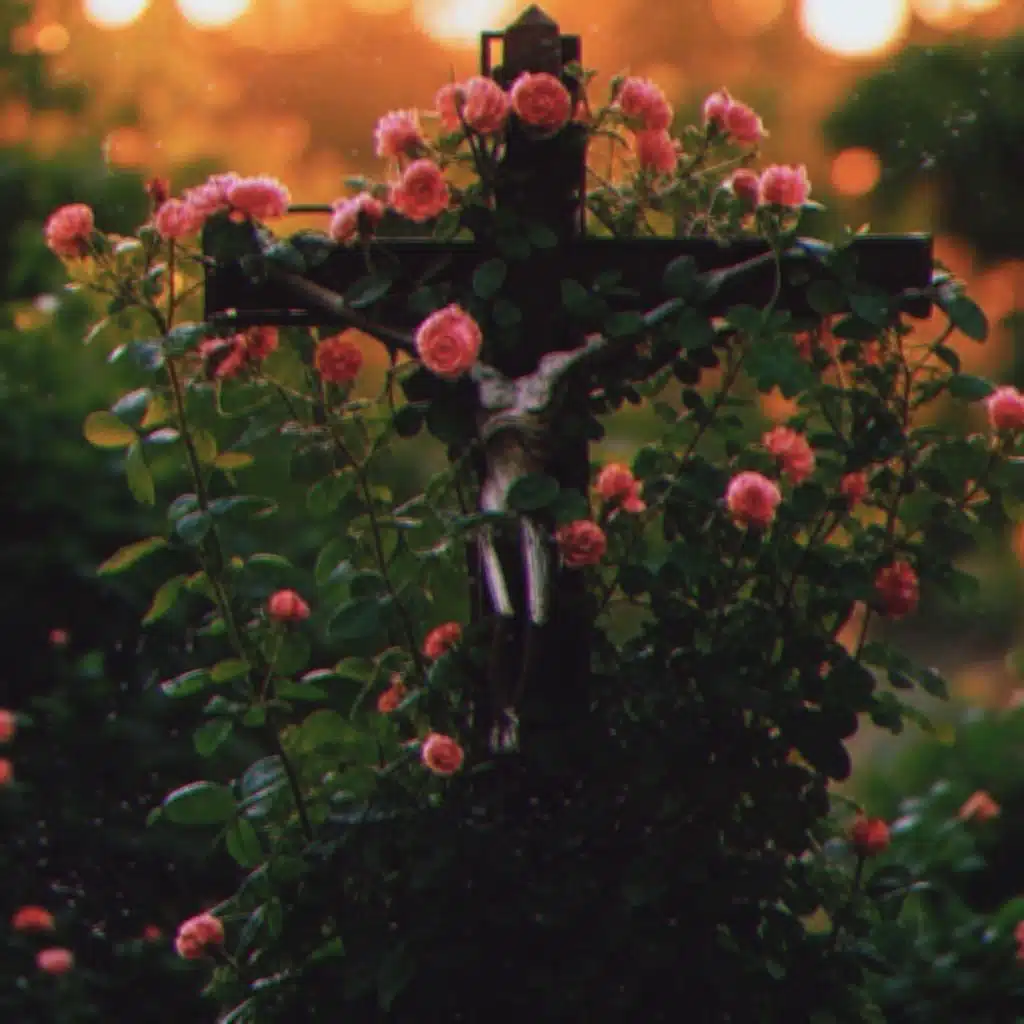 Bivalves and Fibonacci Antiques