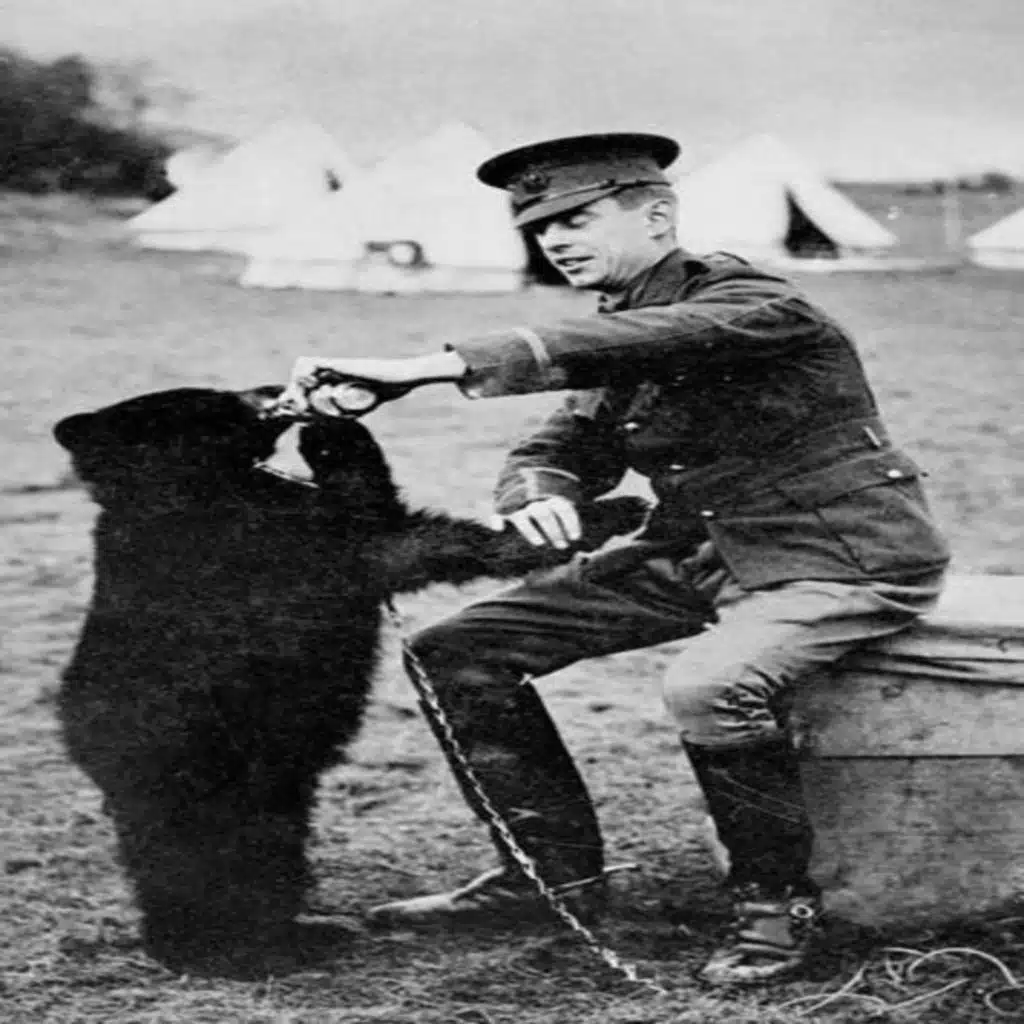 The Real Winnie The Pooh