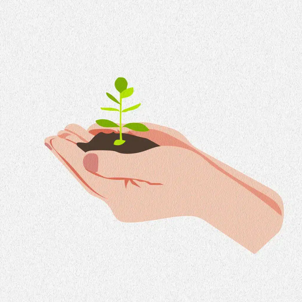 Collection Of Soothing Classical Music Good As Lullabies For Newborn Babies 8