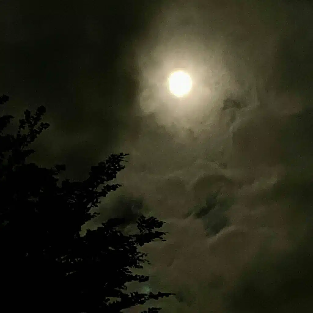 The Gunning, Hall and Rolls Project