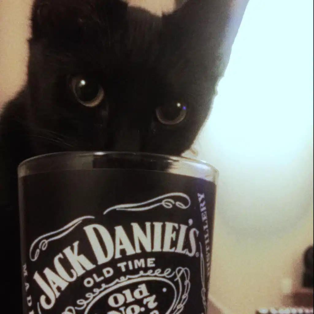 JACK DANIELS