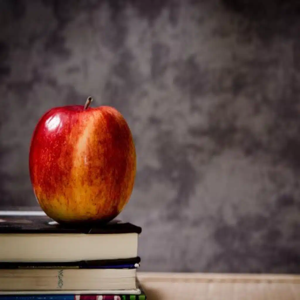 How do we cultivate a love of reading?