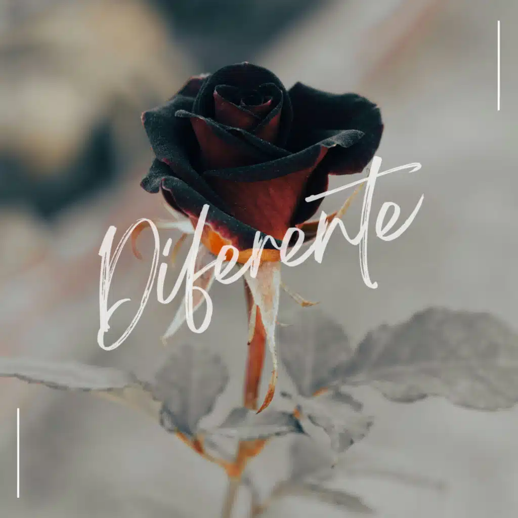 Suprafive & Nikøwhy