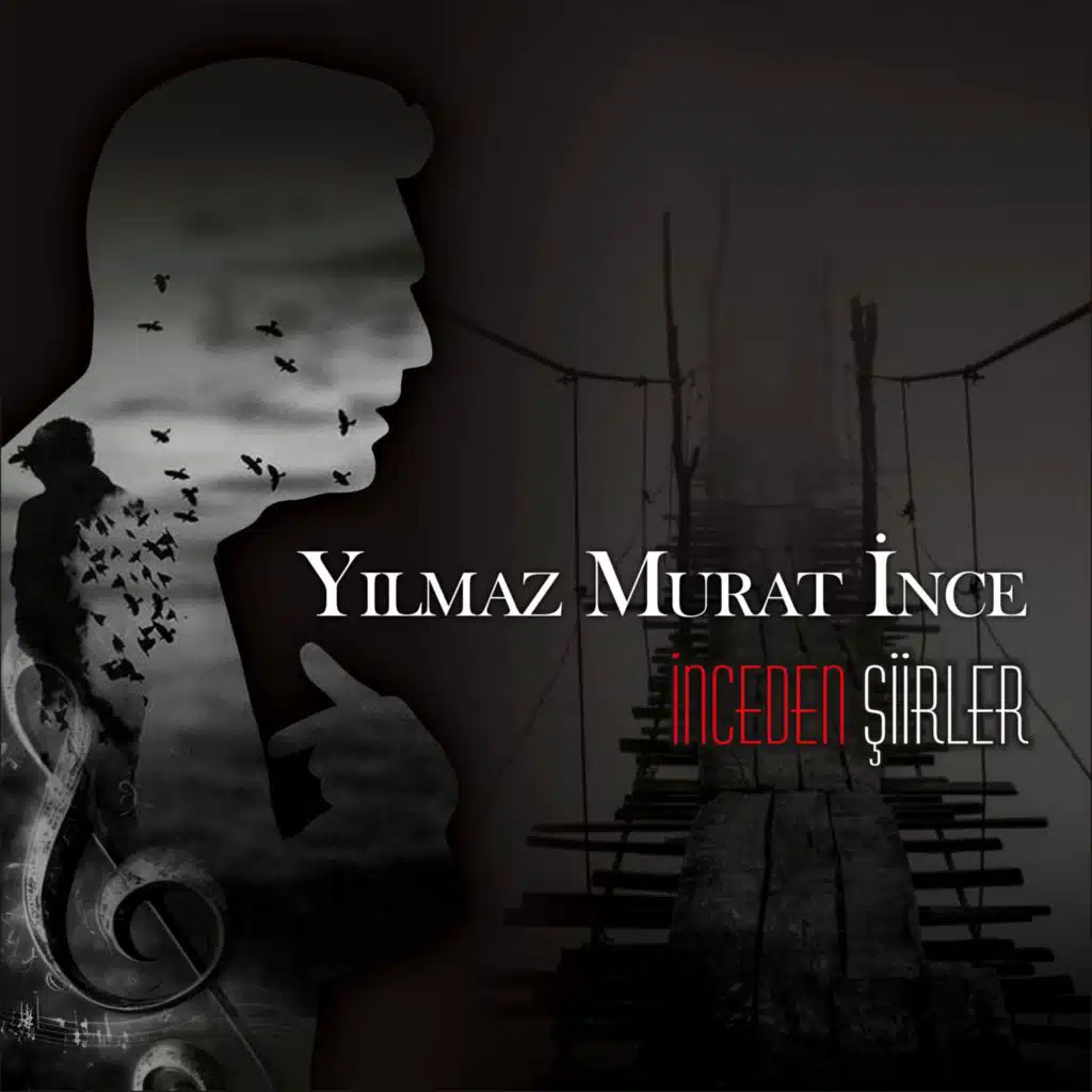 Yılmaz Murat İnce