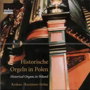 Historical Organs in Poland: Kazimierz Dolny & Krakau