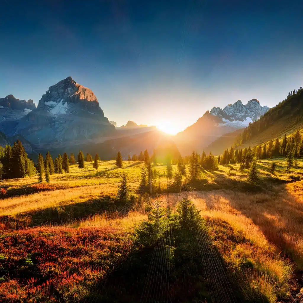 A Pause Between Things