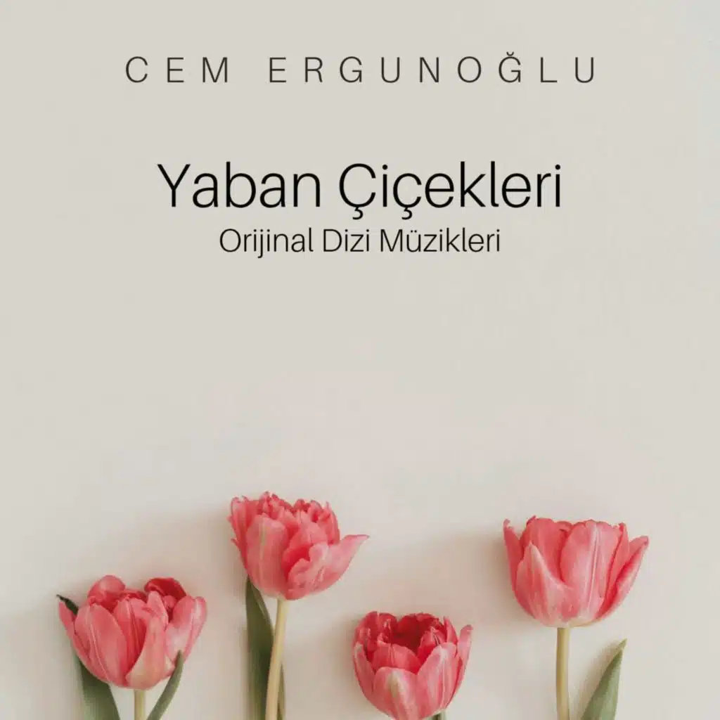 Cem Ergunoğlu