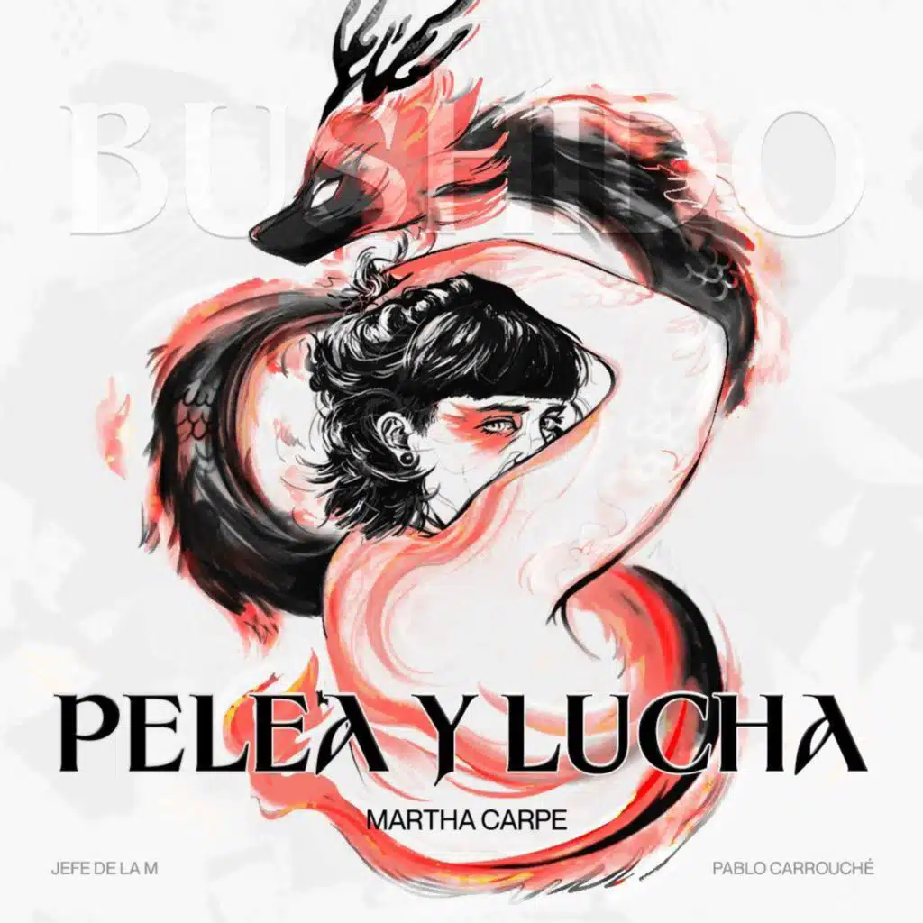 PELEA Y LUCHA