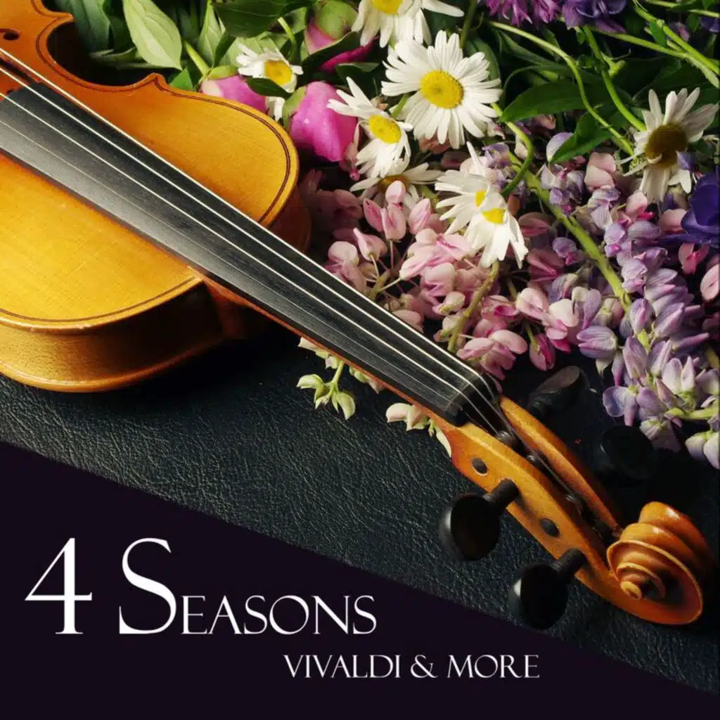 Vivaldi: Concerto for Viola d'Amore and Lute in D Minor, RV 540: II. Largo