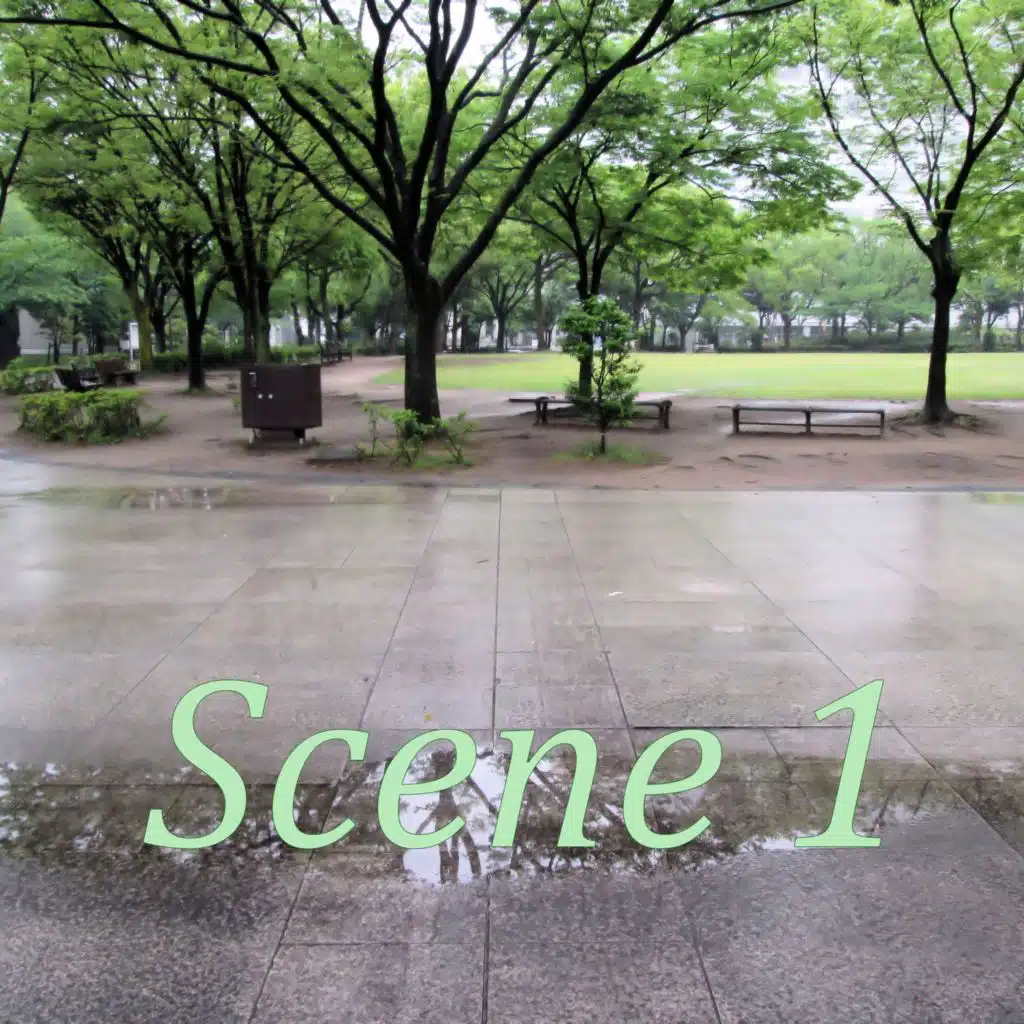 Scene, Vol.1