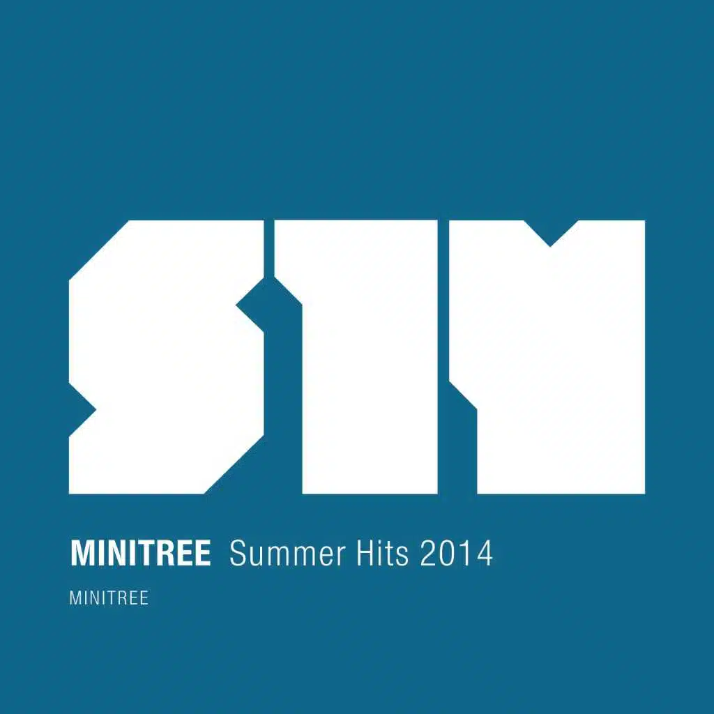 Summer Hits 2014