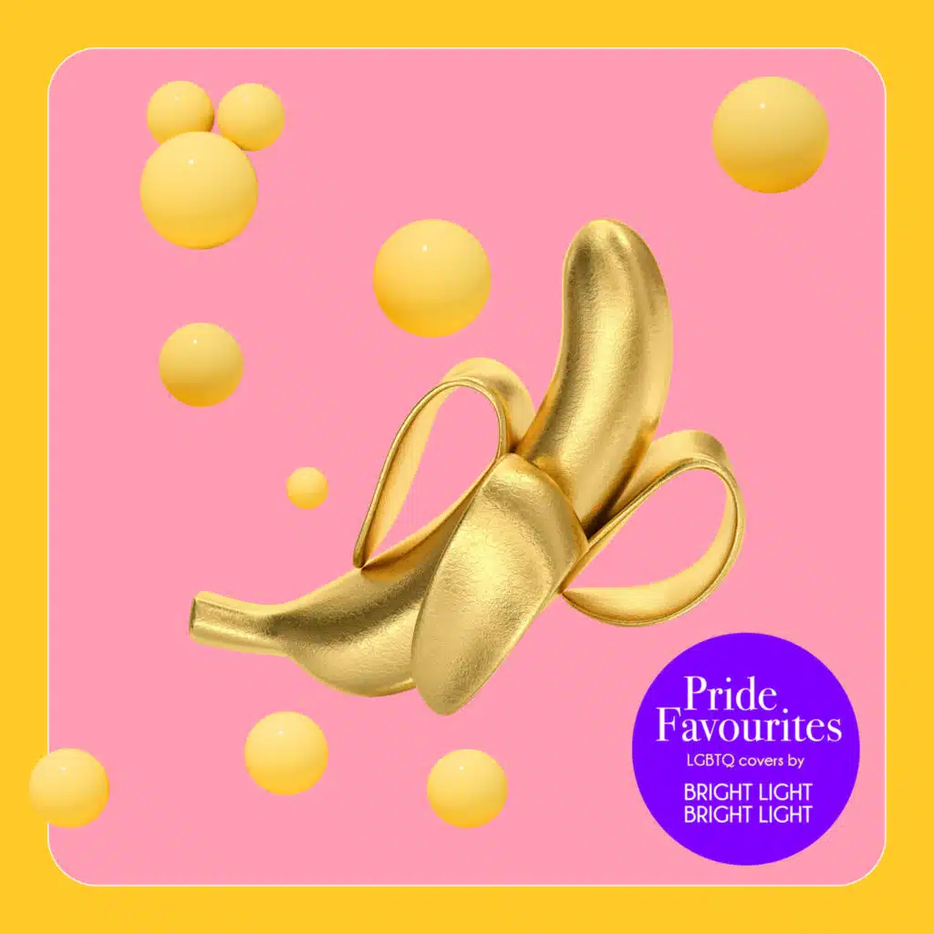 Bright Light Bright Light, The Pink Singers