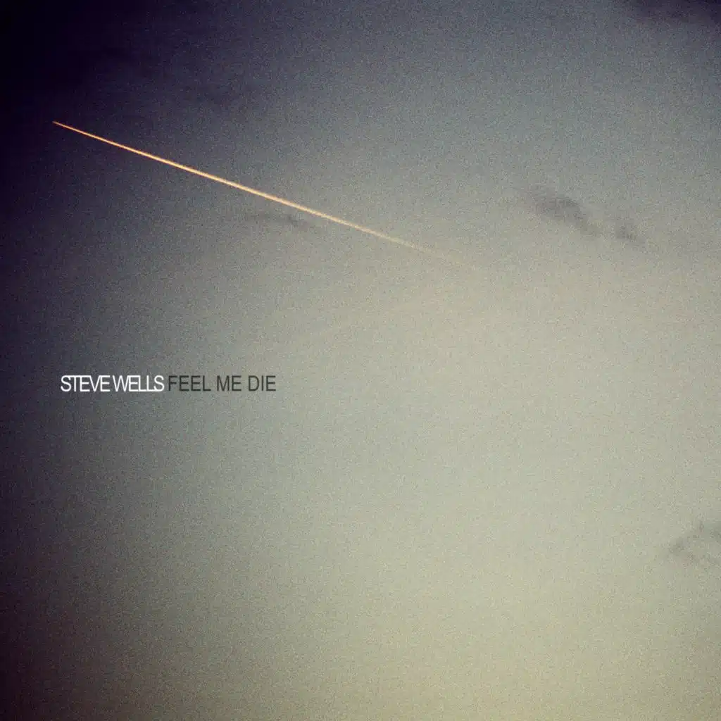 Steve Wells