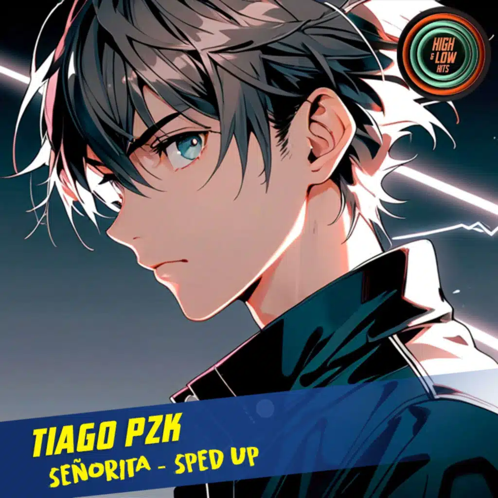 High and Low HITS & Tiago PZK