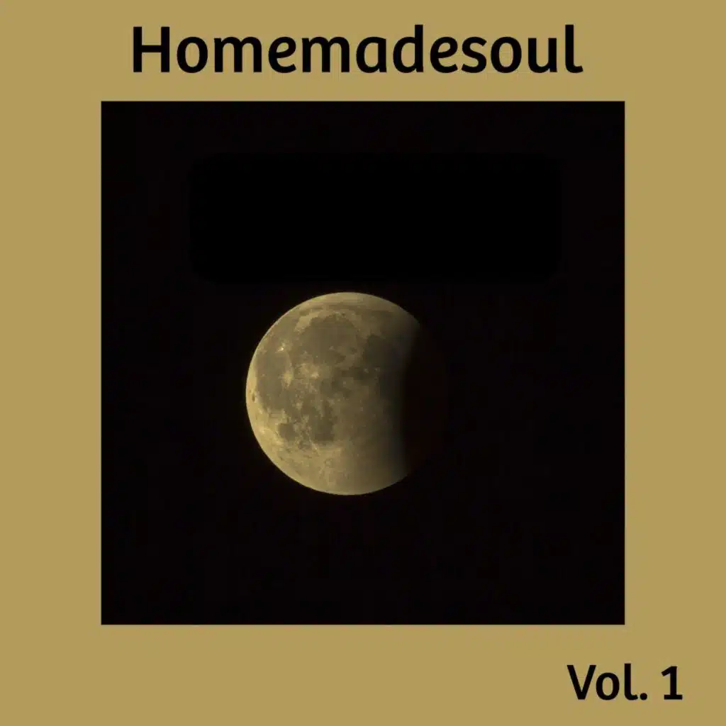 Homemadesoul, Vol. 1