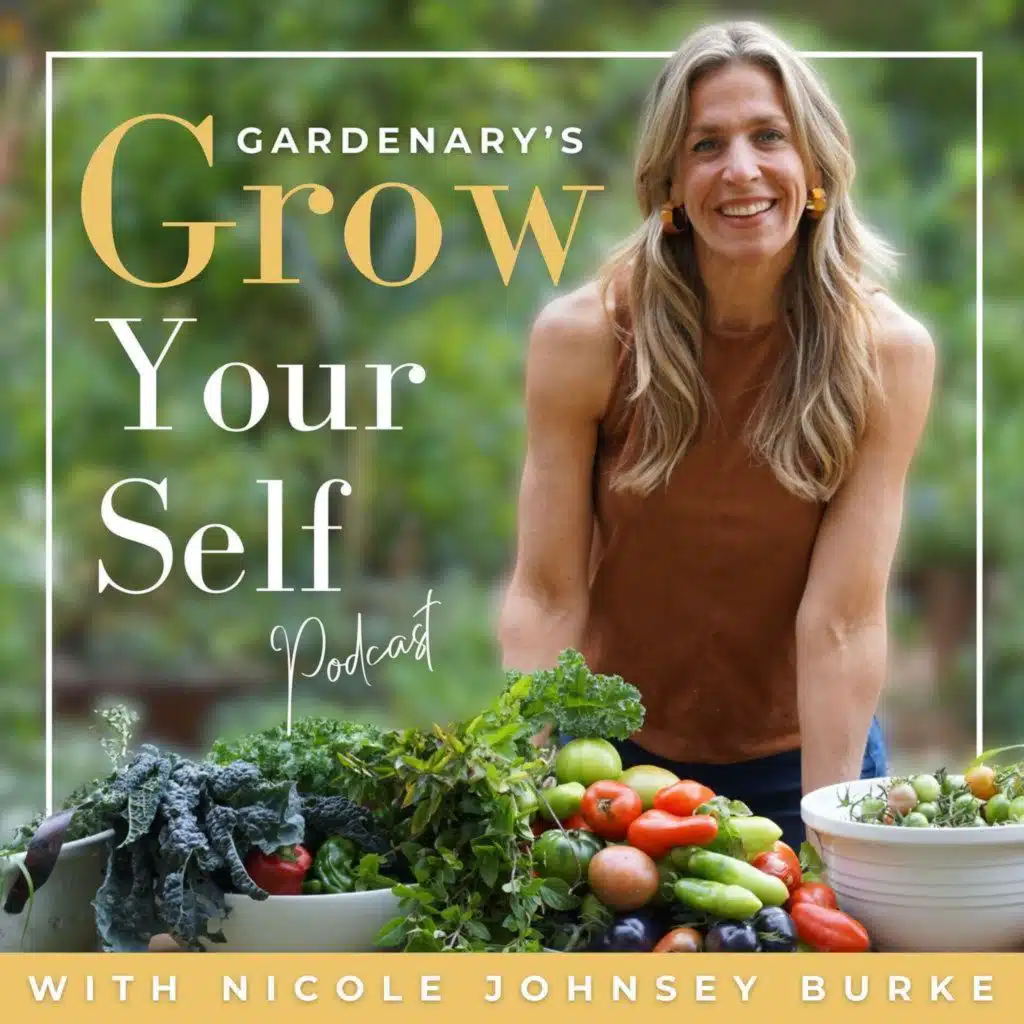Summer Companion Planting Plans That Actually Work