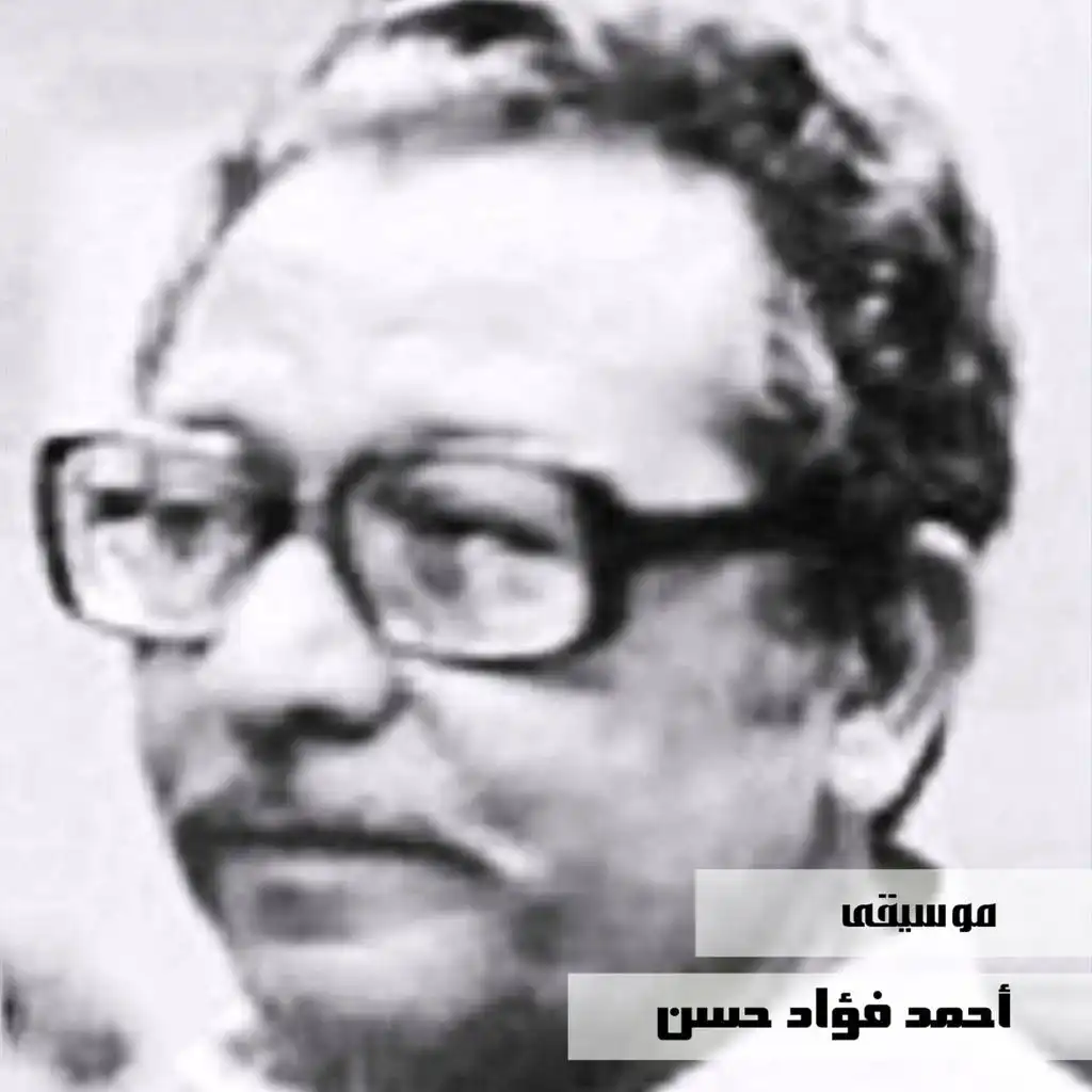 Ahmed Fouad Hassan