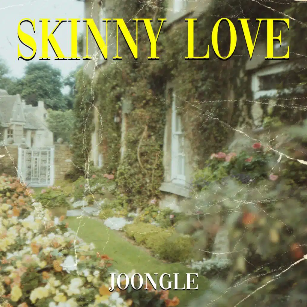 Skinny Love
