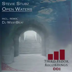 Open Waters (Inclusive Remix DJ Westbeat)
