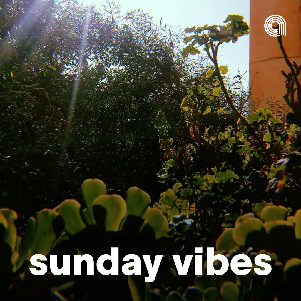 Sunday Vibes