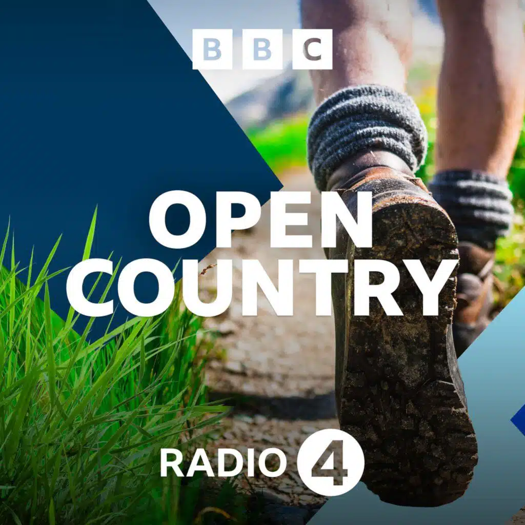 Aberaeron's Mackerel Festival