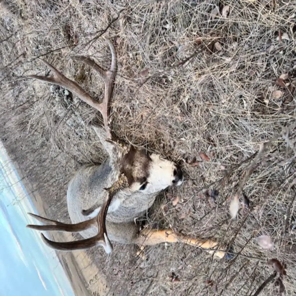 BIrds, Booze, and Buds with Bray Meyer