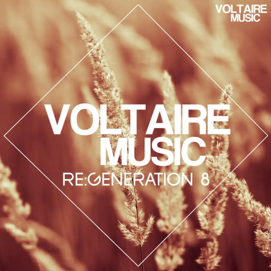 Voltaire Music Pres. Re:Generation #8