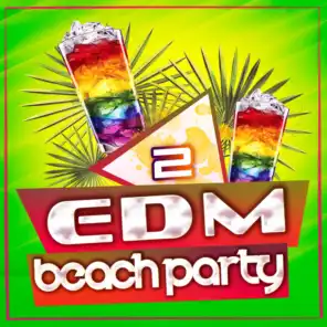 EDM Beach Party, Vol. 2