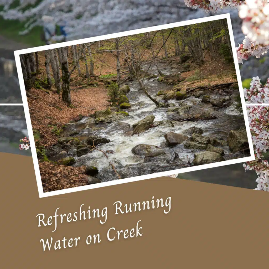 Refreshing Running Water on Creek - 2 Hours
