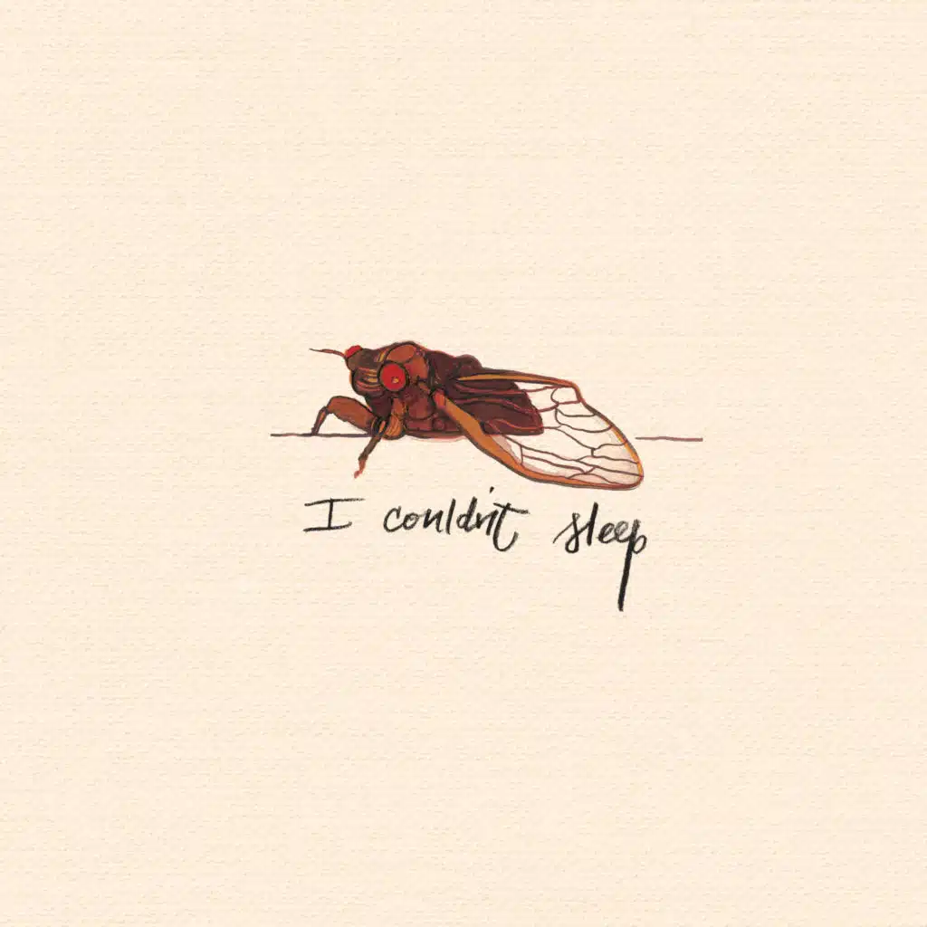 I Couldn't Sleep