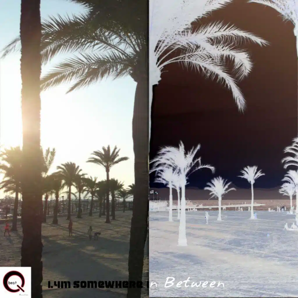 Somewhere in Between