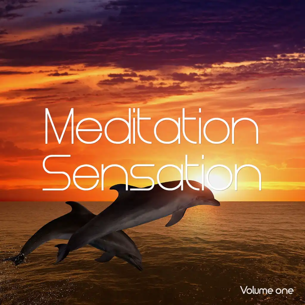 Meditation Sensation, Vol. 1 (Spiritual Down Beats)