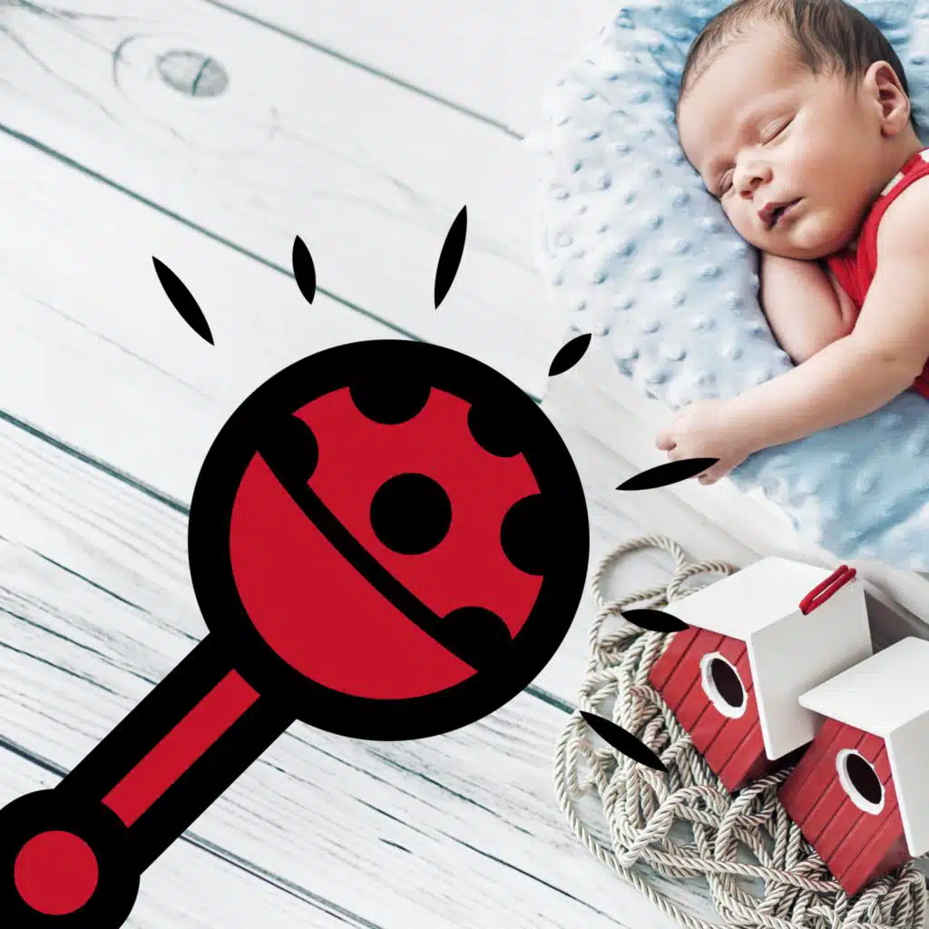 Tess & Tim - English