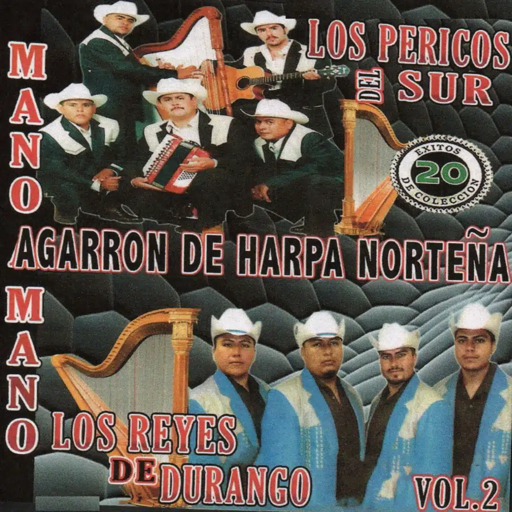 20 Éxitos Agarron de Harpa Norteña, Vol.2