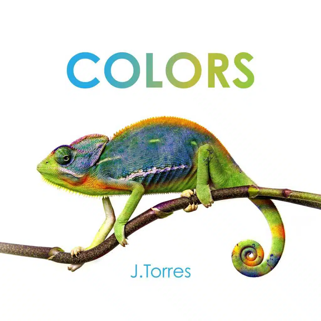 Colors
