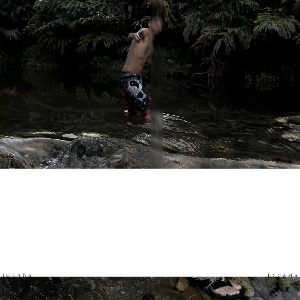 IGUANA