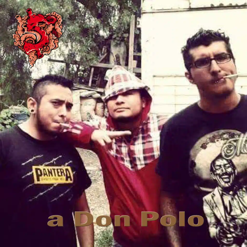 a Don Polo