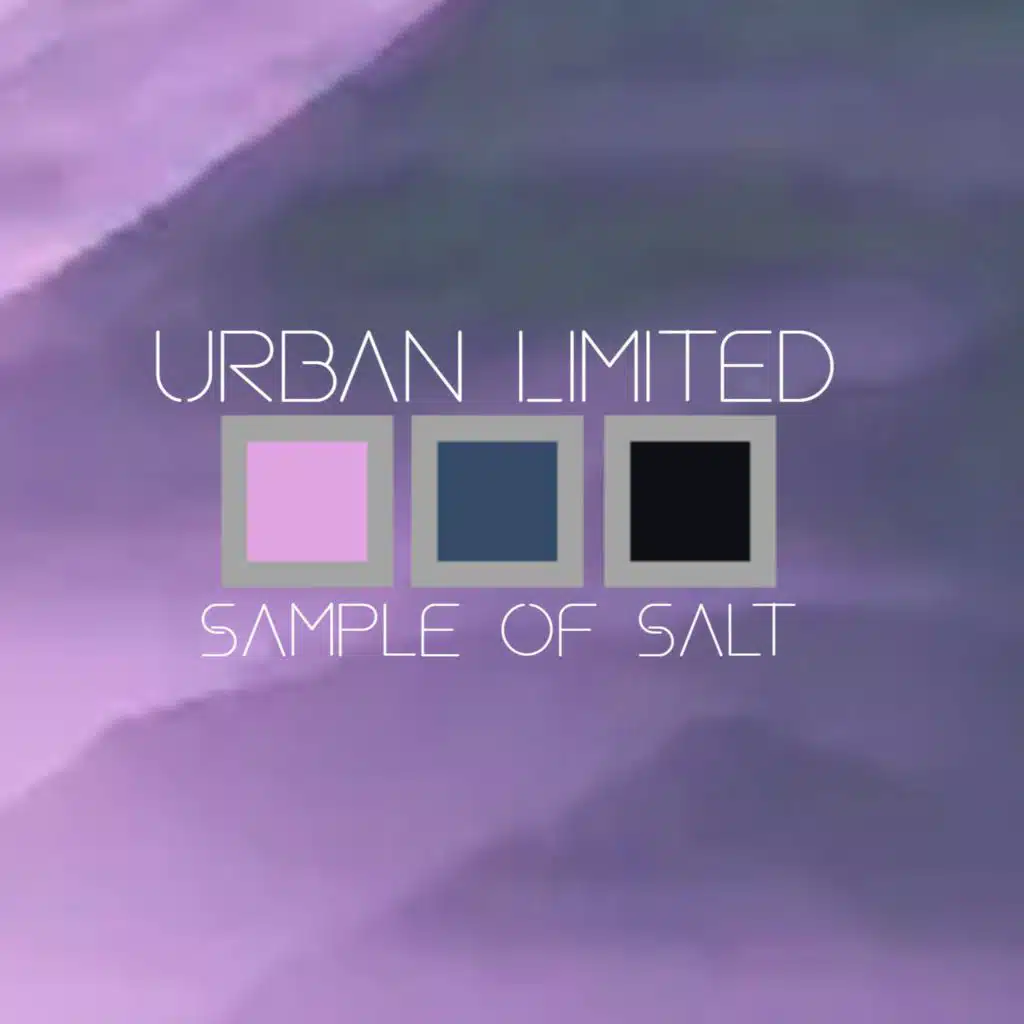 Sample Of Salt (No Drum Mix)